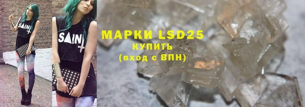 прущие грибы Абдулино