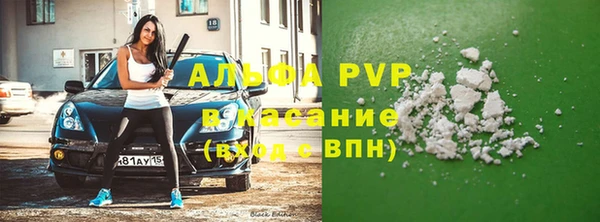 прущие грибы Абдулино