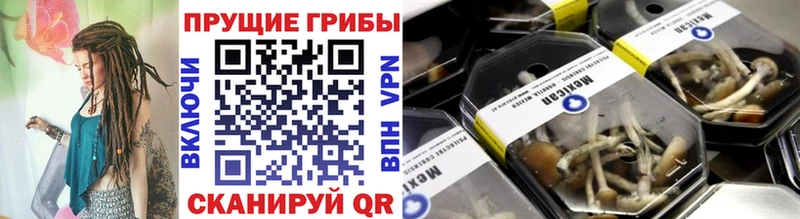 продажа наркотиков  Железноводск  Галлюциногенные грибы ЛСД 